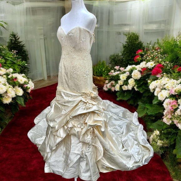ST.Pucchi by Rani 9373 Bridal Gown Wedding DRESS SZ 12 SiLk Crystals beaded #12 - Picture 1 of 9